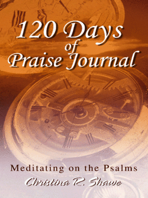cover image of 120 Days of Praise Journal
